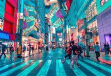 Tokyo on the move: Best attractions, food, and activities